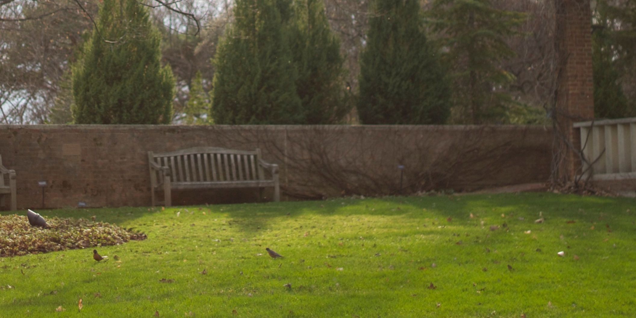 Landscape Garden